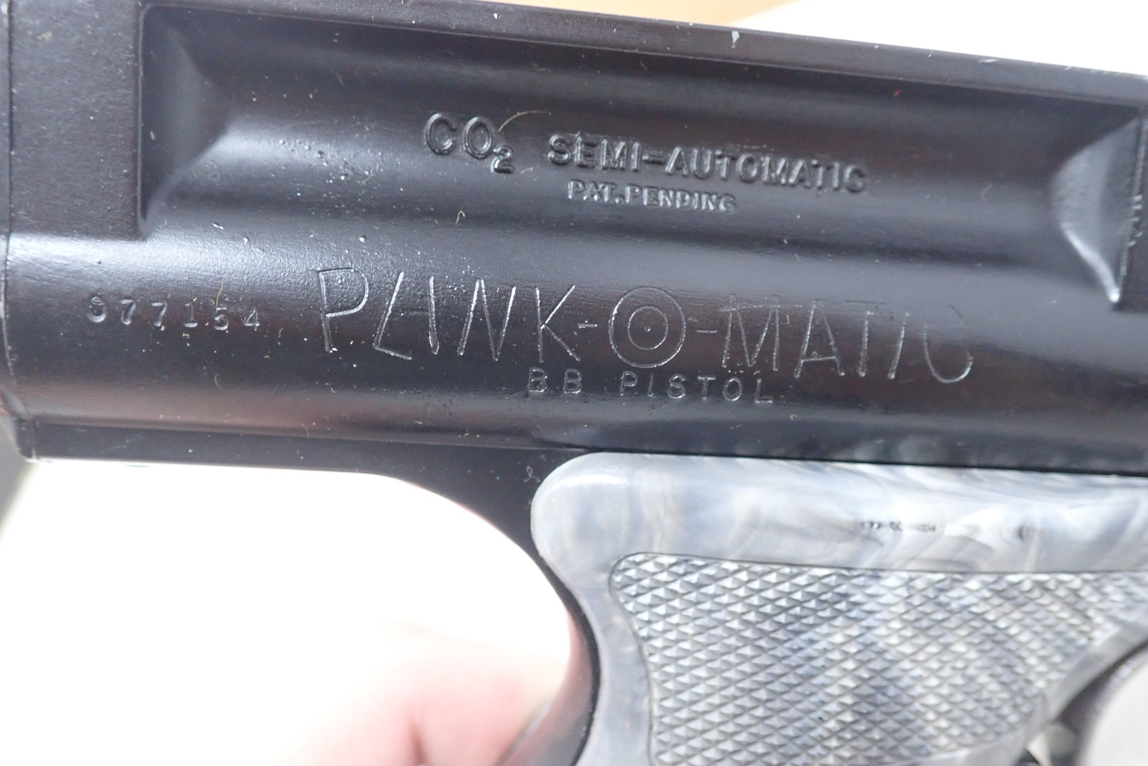 PB220010.JPG