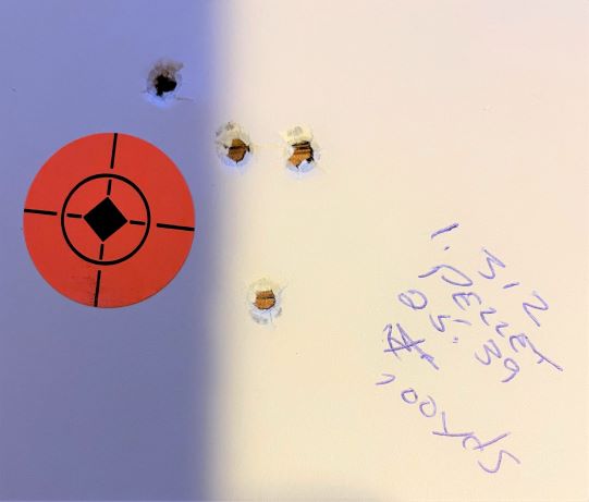 pellet at 100 yards.1620000116.JPG
