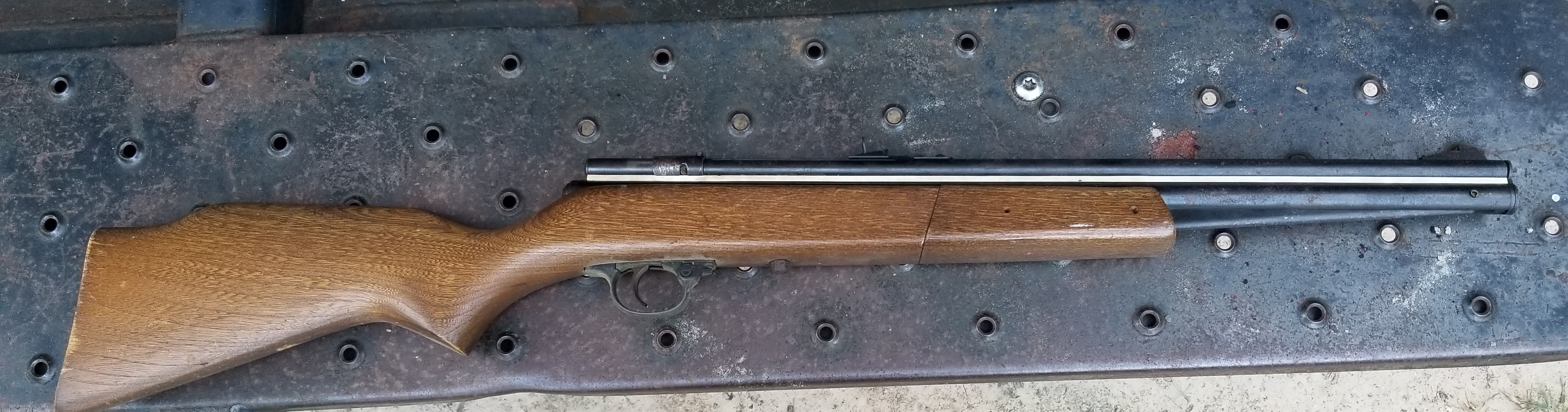 Pellet Gun.jpg