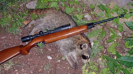 PelletGun.1622991691.jpg