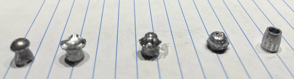 Pellets Side View.1614807896.jpg
