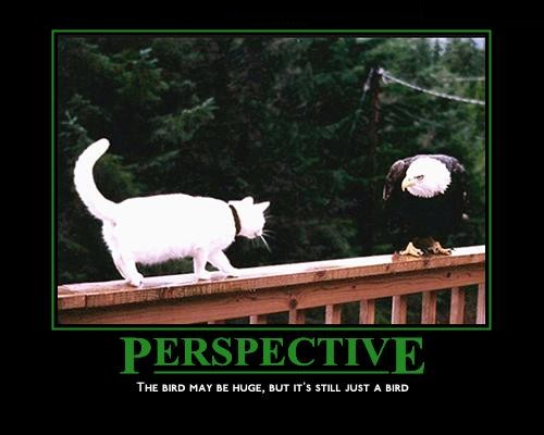 perspective_.jpg