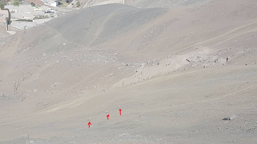 Peru Desert Hills.1609018412.jpg