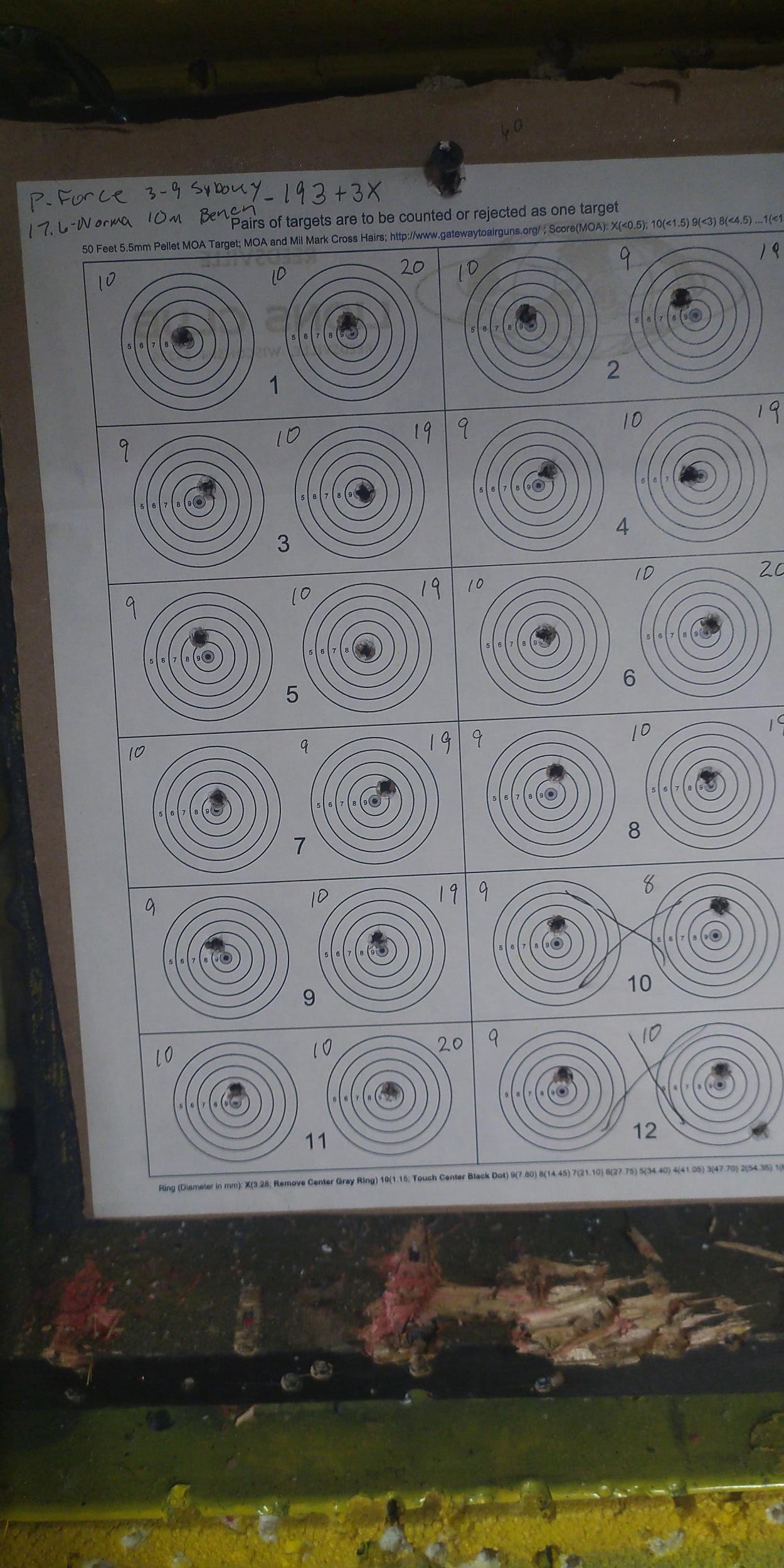 PForce 10m target.jpeg
