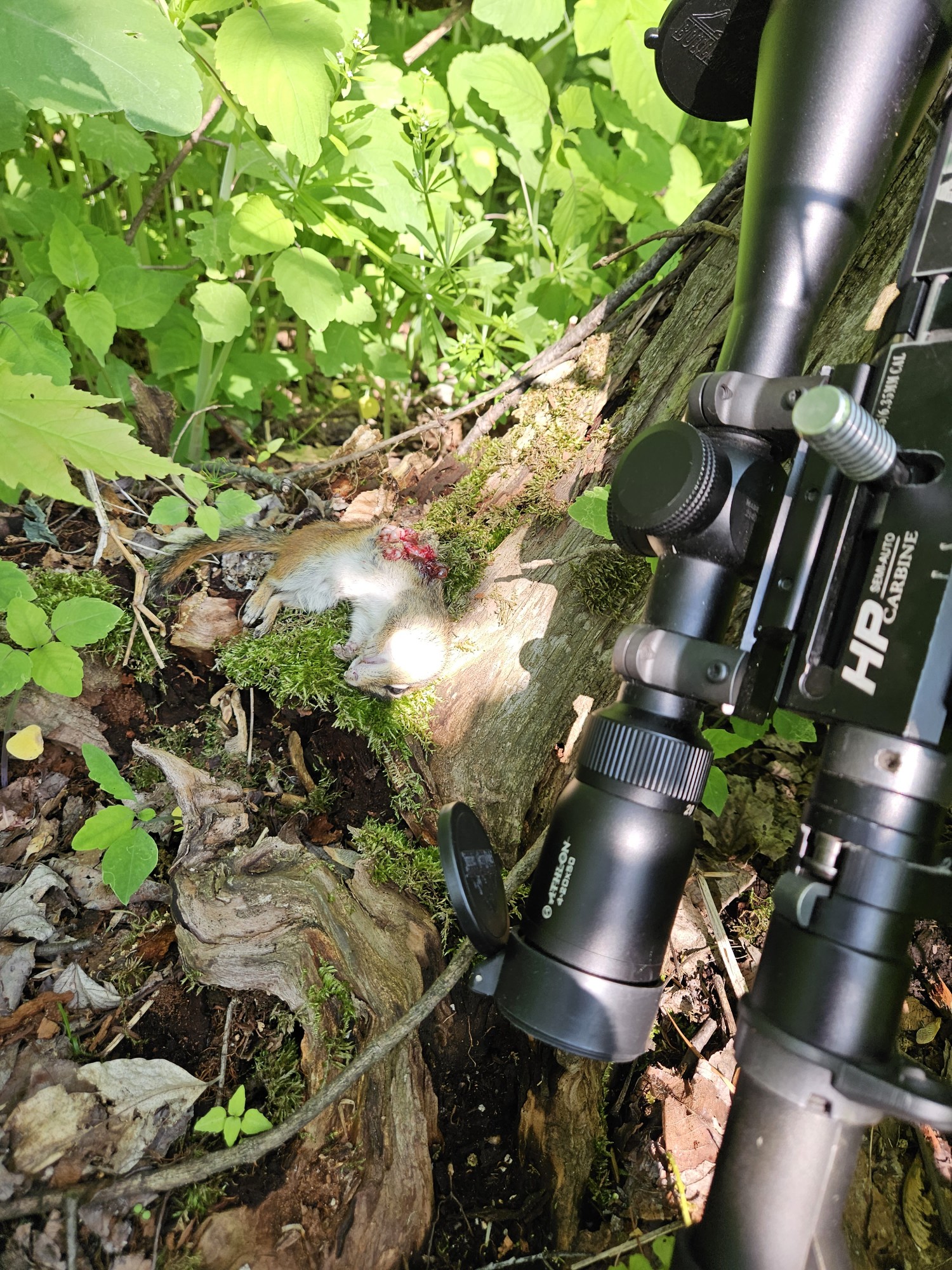 PhotoPictureResizer_1684761325219_copy_1500x2000[1].jpg