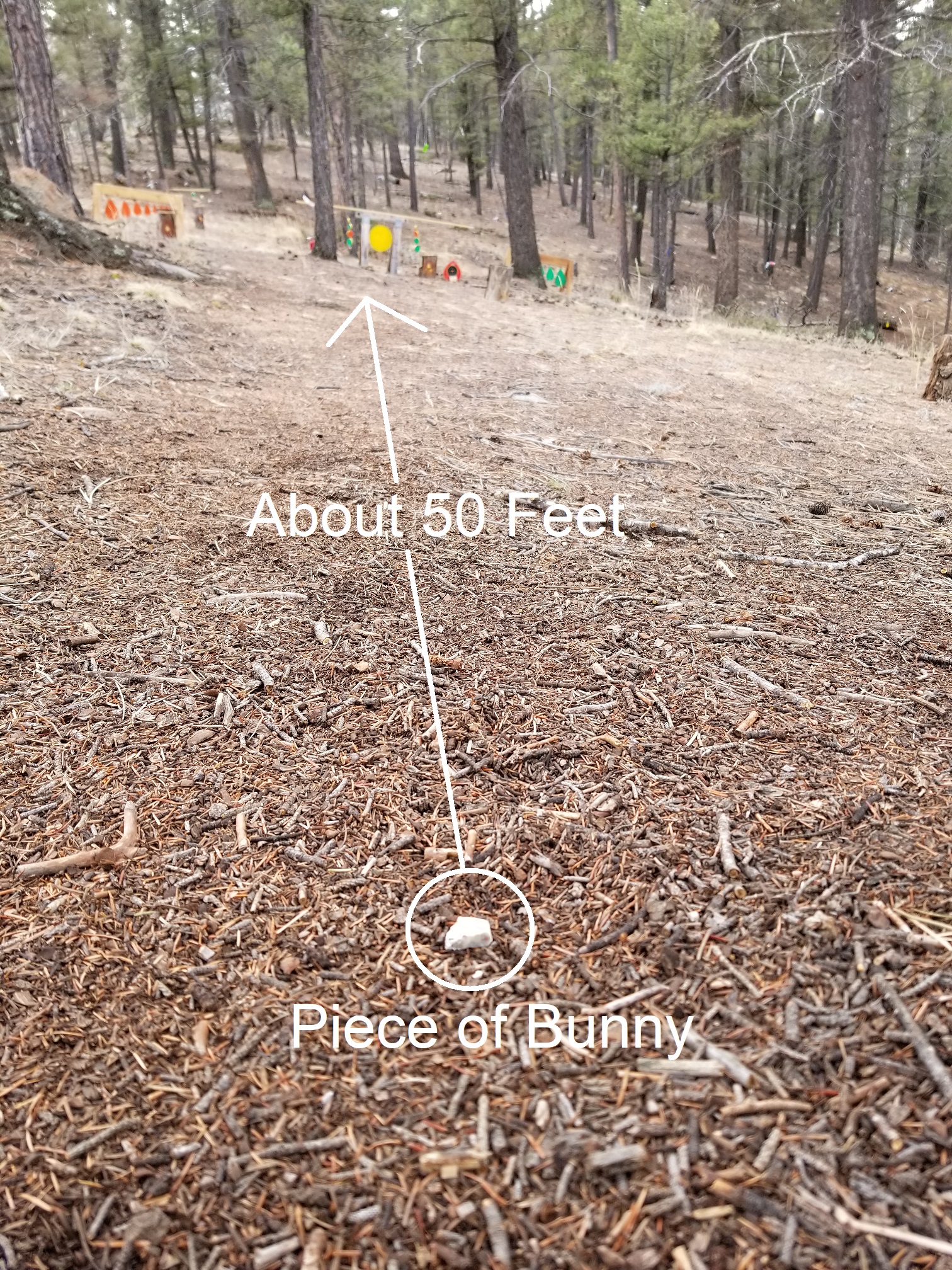 PieceOfBunnyWAYFarAway.jpg