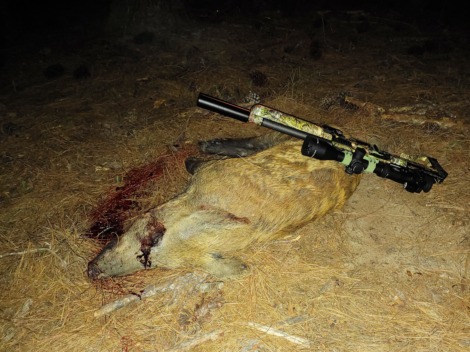 pig dead.jpg
