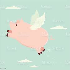 pig fly.1629731299.jpg