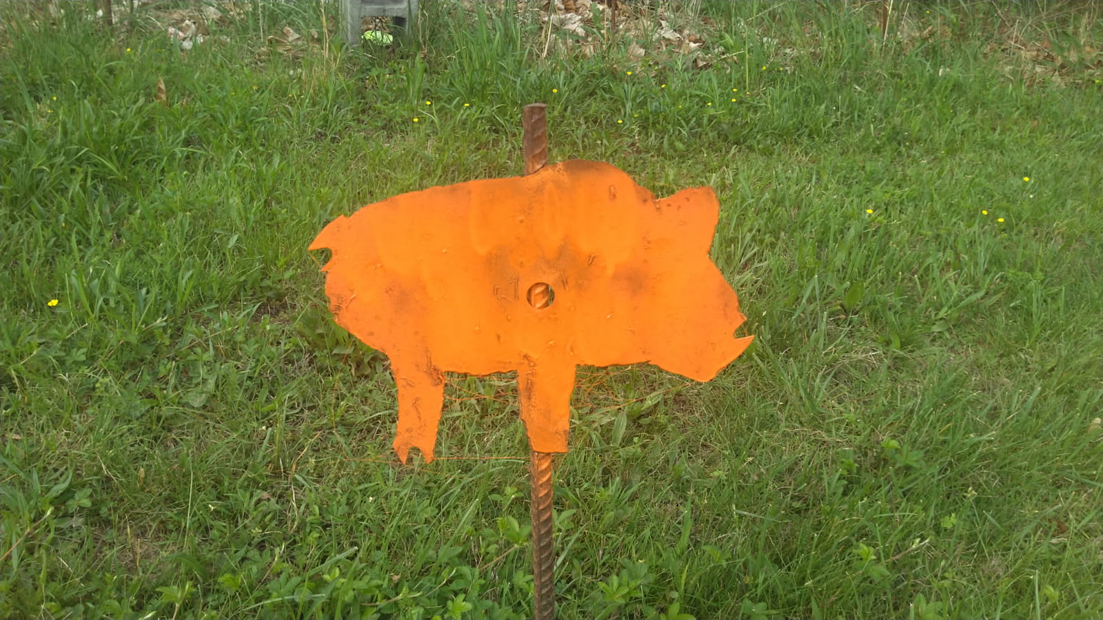 PIG MAN.jpg