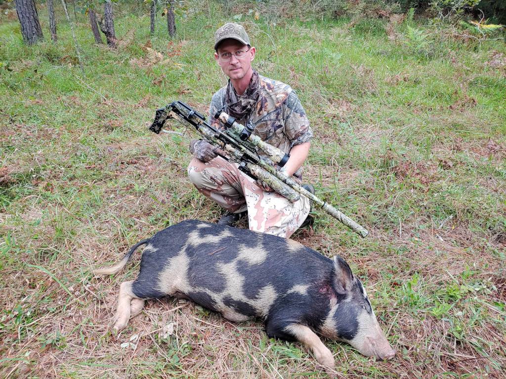 piggy3.1629670843.jpg