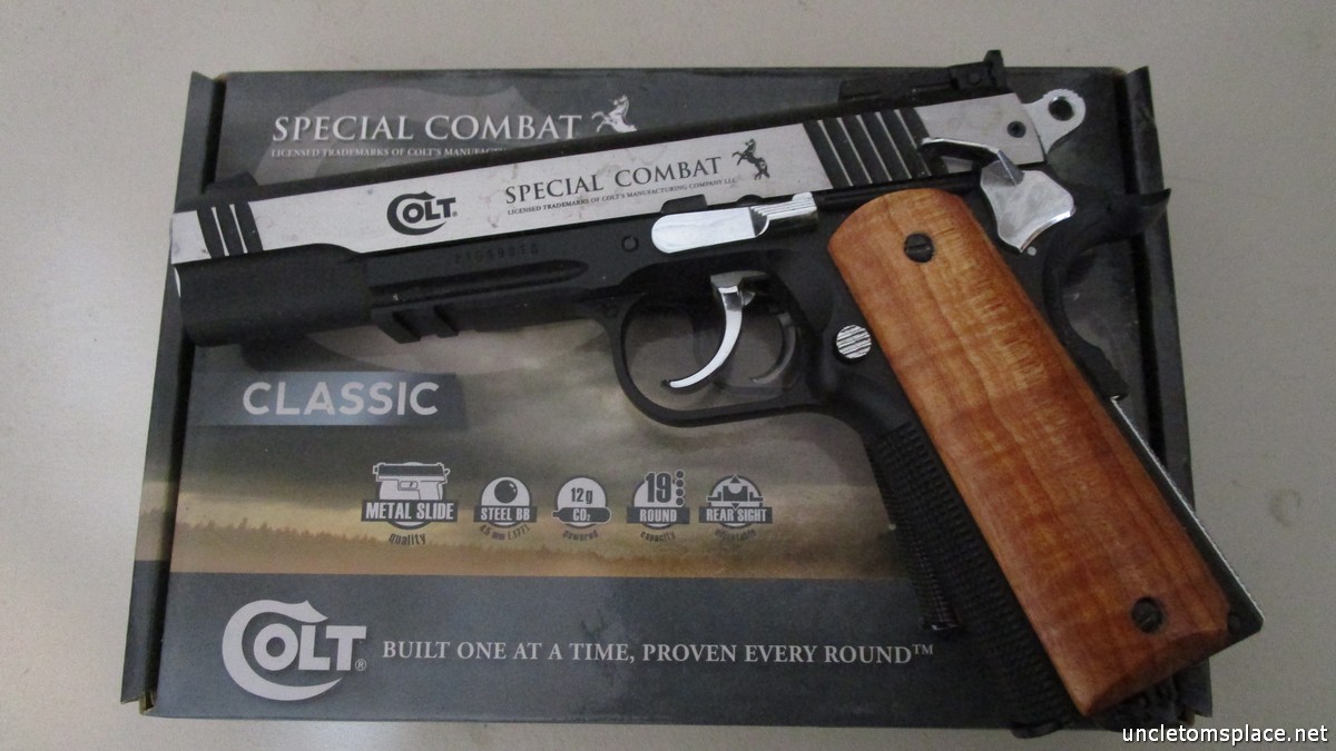 Pistol -1.jpg