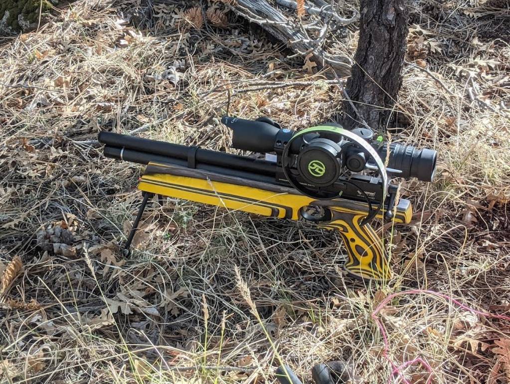 pistol bumblebee.1652685480.jpg