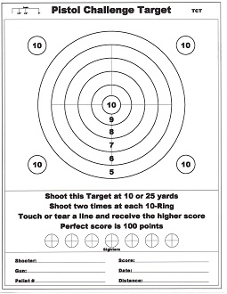Pistol Challenge Target.5.jpg