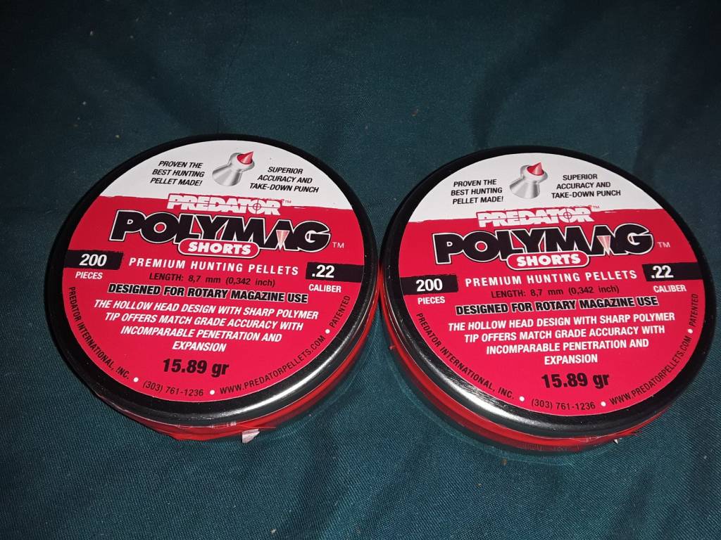 polymagshorts.1602588911.jpg
