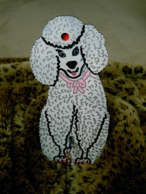 Poodle FT.1626282571.JPG
