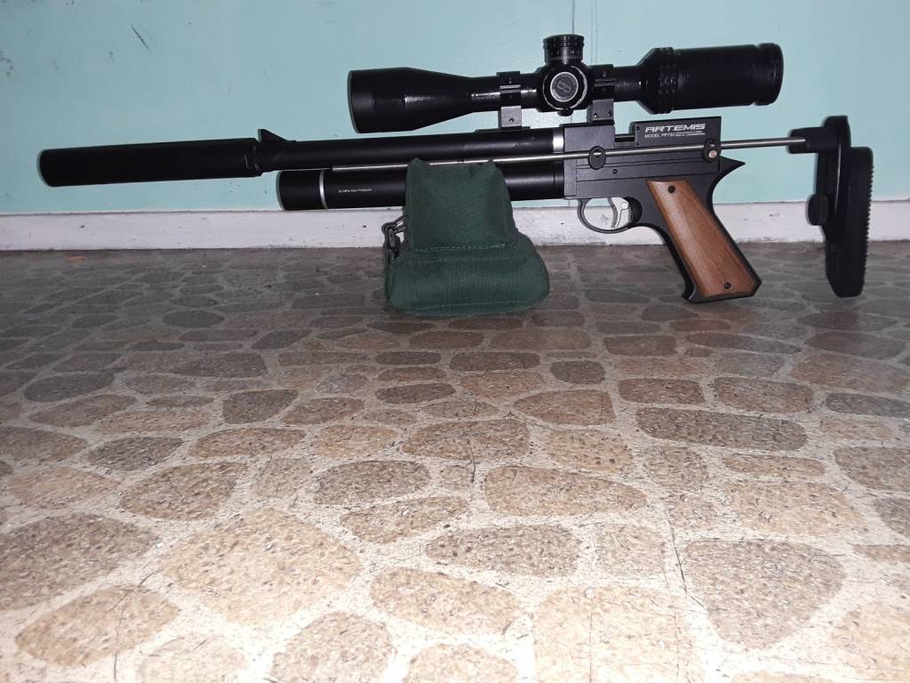pp750fornow.1599158006.jpg
