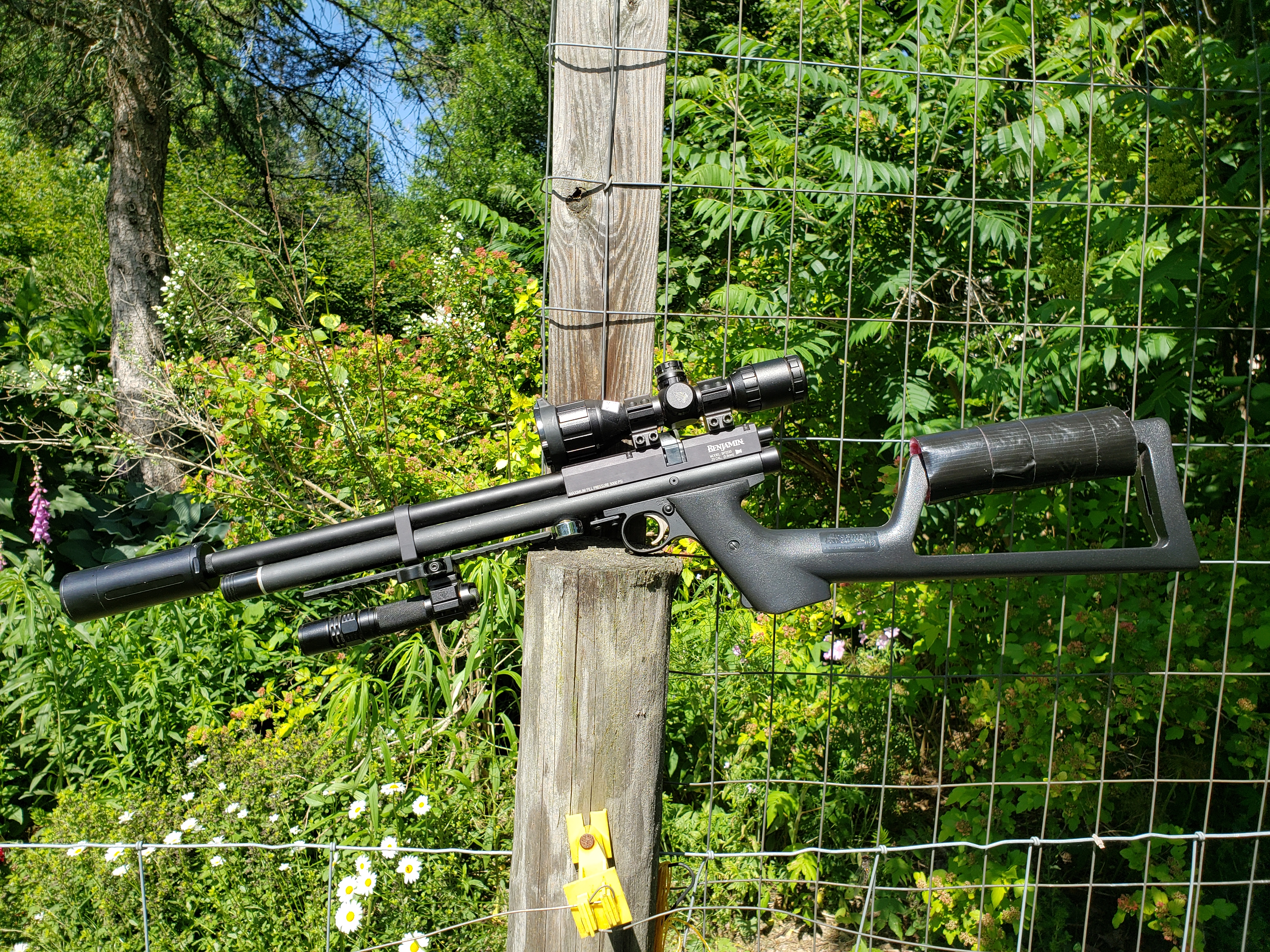prod_fungun_agn.jpg
