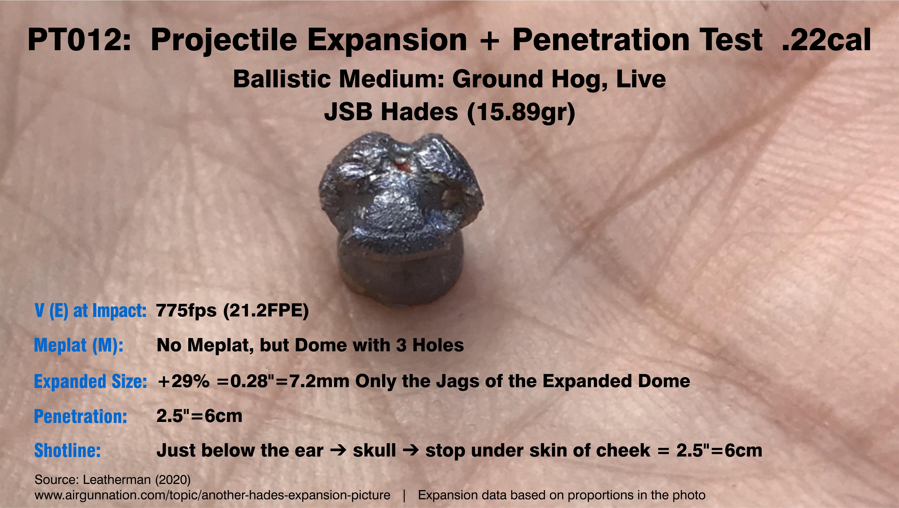 Projectile Tests. PT012.  Leatherman (2020). -Ground Hog, Live.- 21FPE. Hades @775fps. 01.jpg