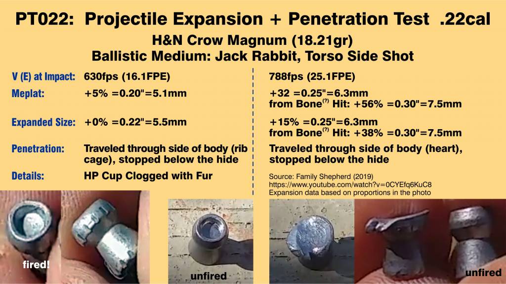 Projectile Tests. PT022.  Family Shepherd 2019. -Jack Rabbit, Torso Side Shot.- 16,25FPE. Crow...jpg