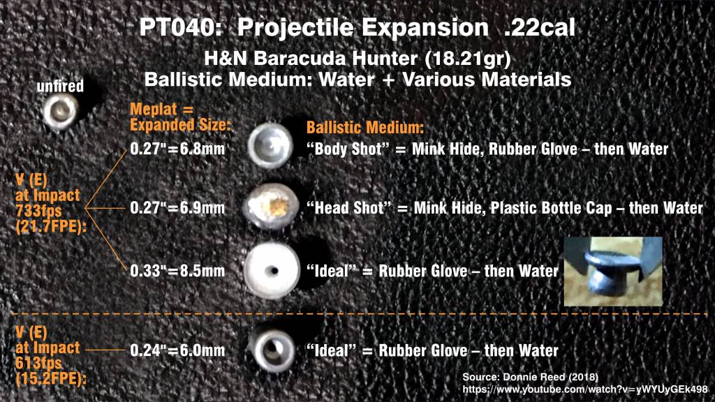 Projectile Tests. PT040.  Donnie Reed 2018. -Water, also with Mink Hide  with Bottle Cap.- 17,...jpg
