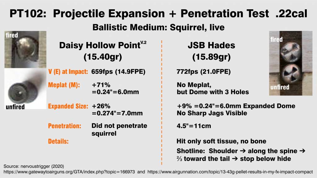 Projectile Tests. PT102.  nervoustrigger 2020. -Squirrel.- 21,15FPE. Hades 762fps  Daisy HP 65...jpg