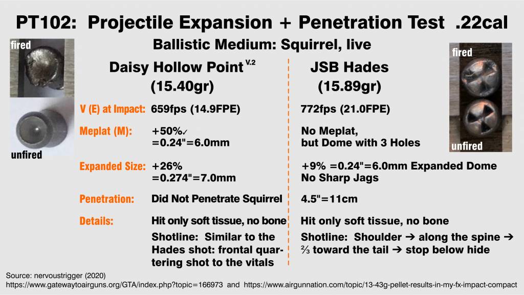 Projectile Tests. PT102.  nervoustrigger 2020. -Squirrel.- 21,15FPE. Hades 762fps  Daisy HP 65...jpg