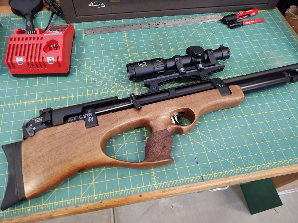 proX.1616881059.jpg