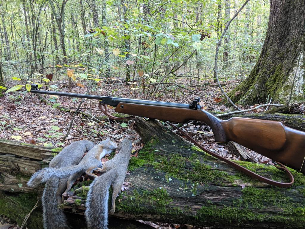 Which is the best Caliber for Airgun Hunting?