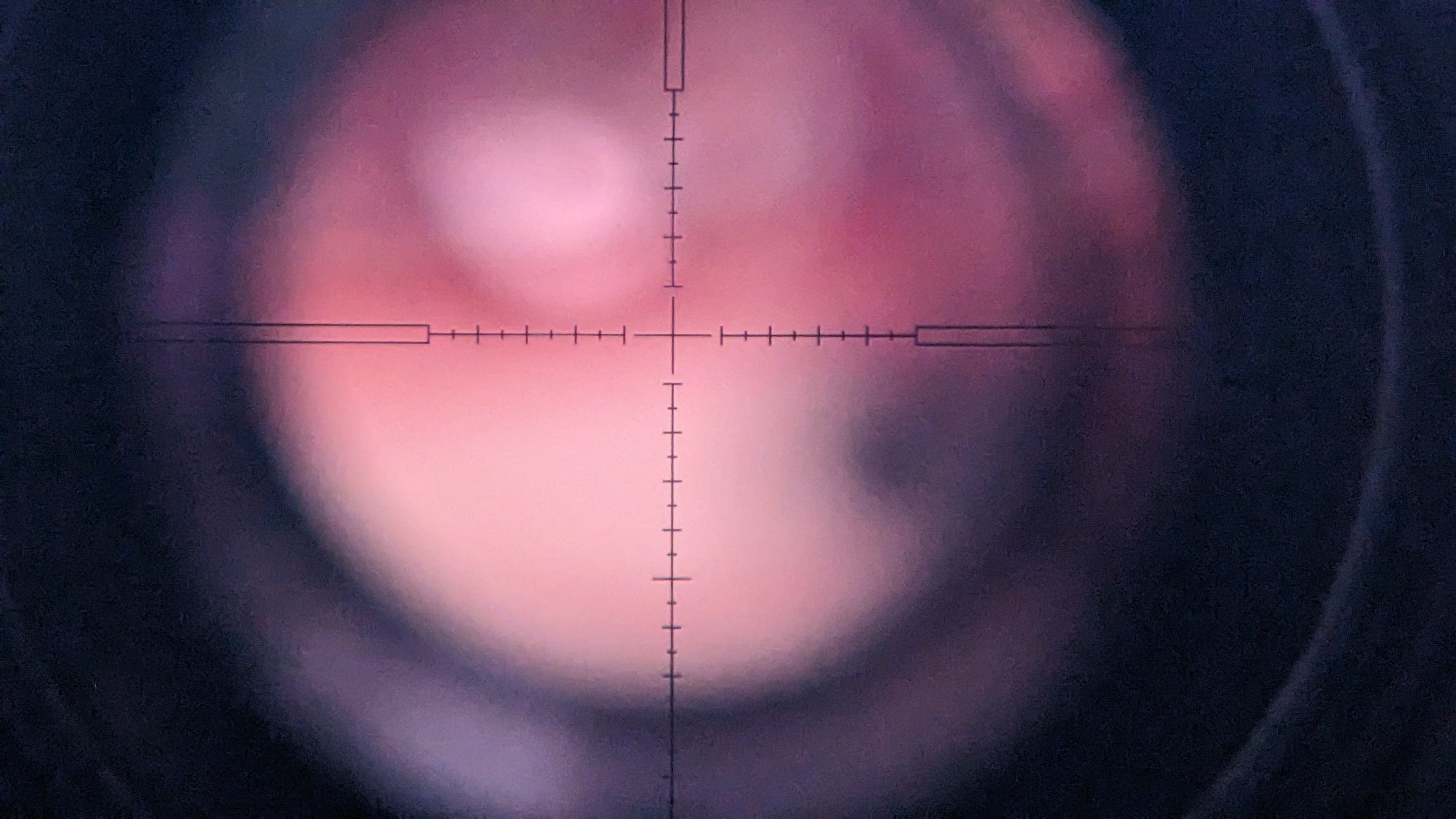 PXL_20230315_201224332.jpg