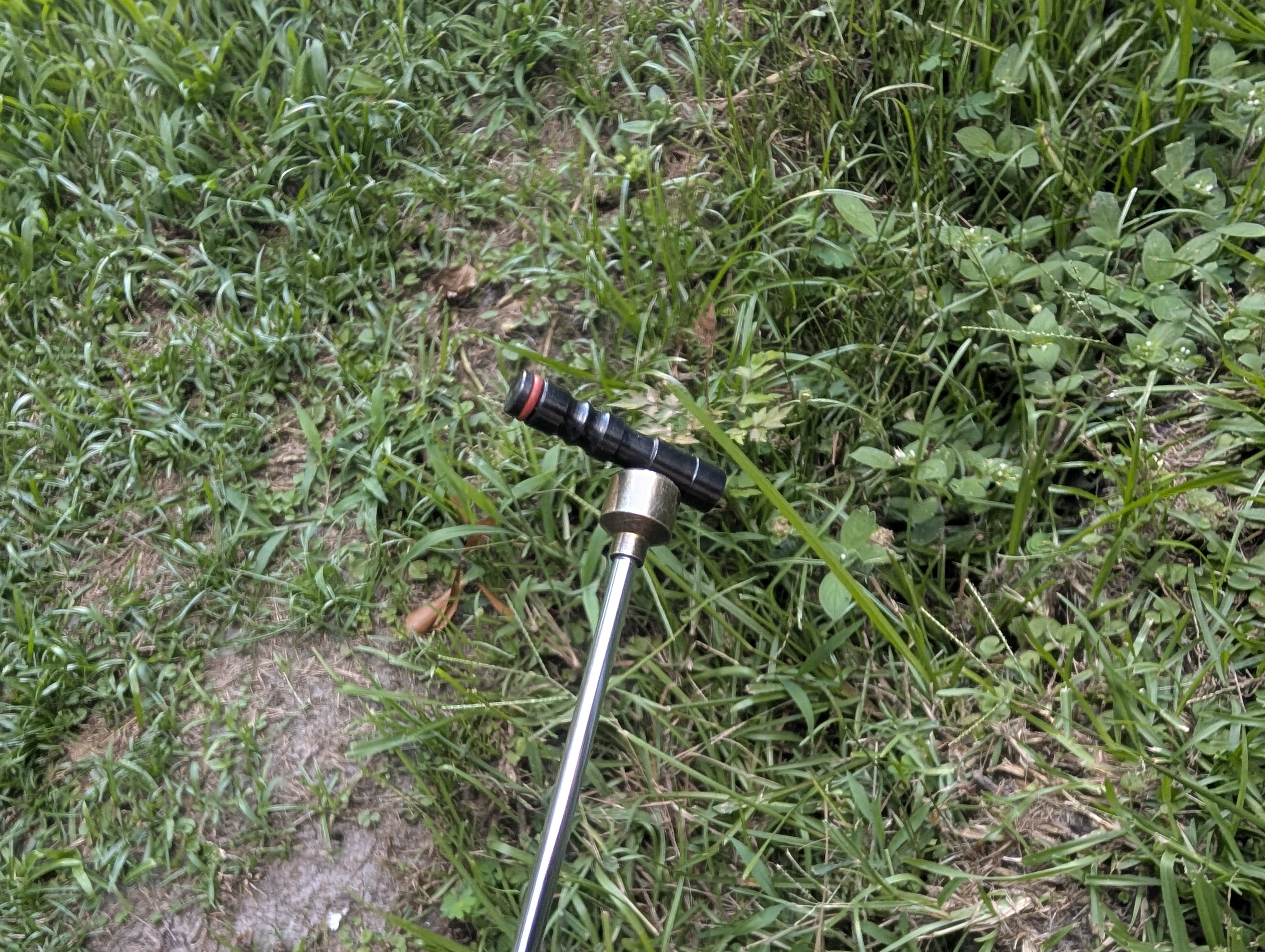 PXL_20250624_224245639.jpg