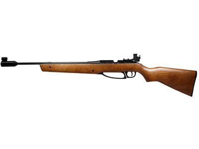 PY-145_Daisy-Avanti-853_DY853_rifle_lg.1613663653.jpg
