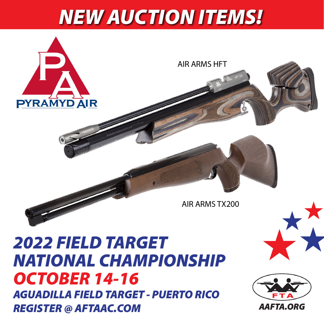 PYRAMYD AUCTION.jpg