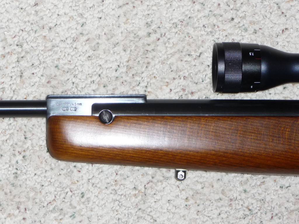 R8-4.1618624827.jpg