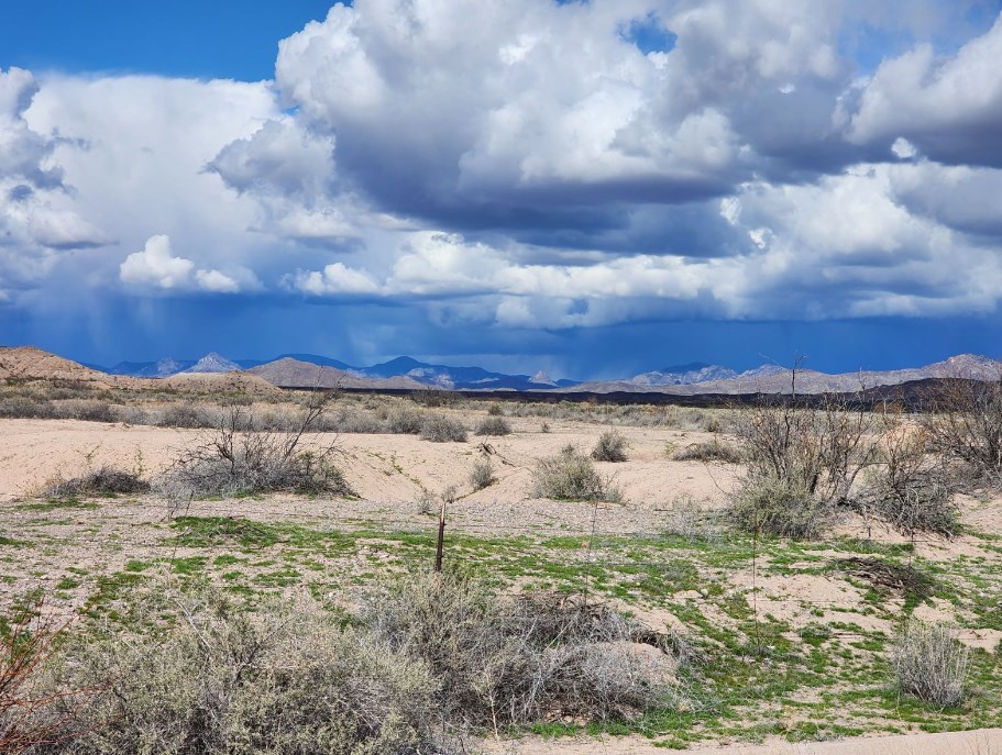 rain in the higher elevations.jpg