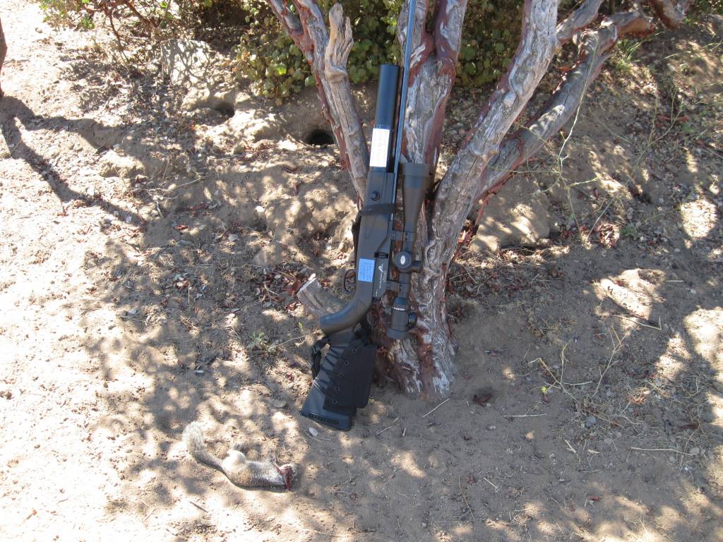 Ranch Hunt 2 005.1616989423.JPG