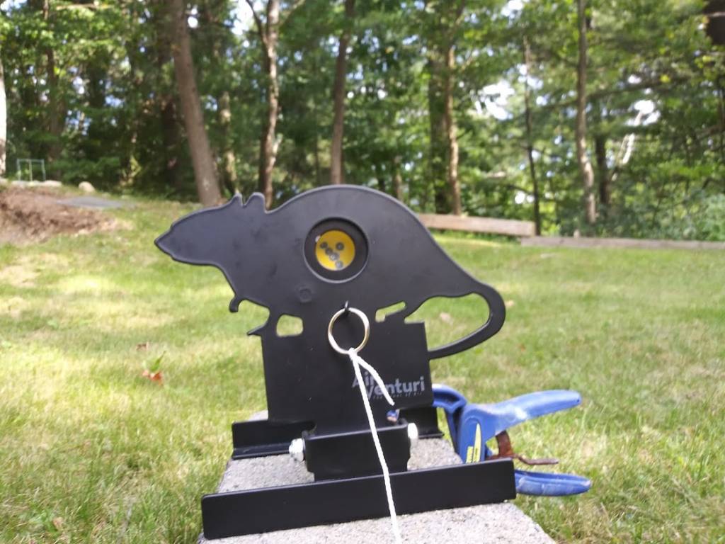 rattus_metalica.1600037939.jpg