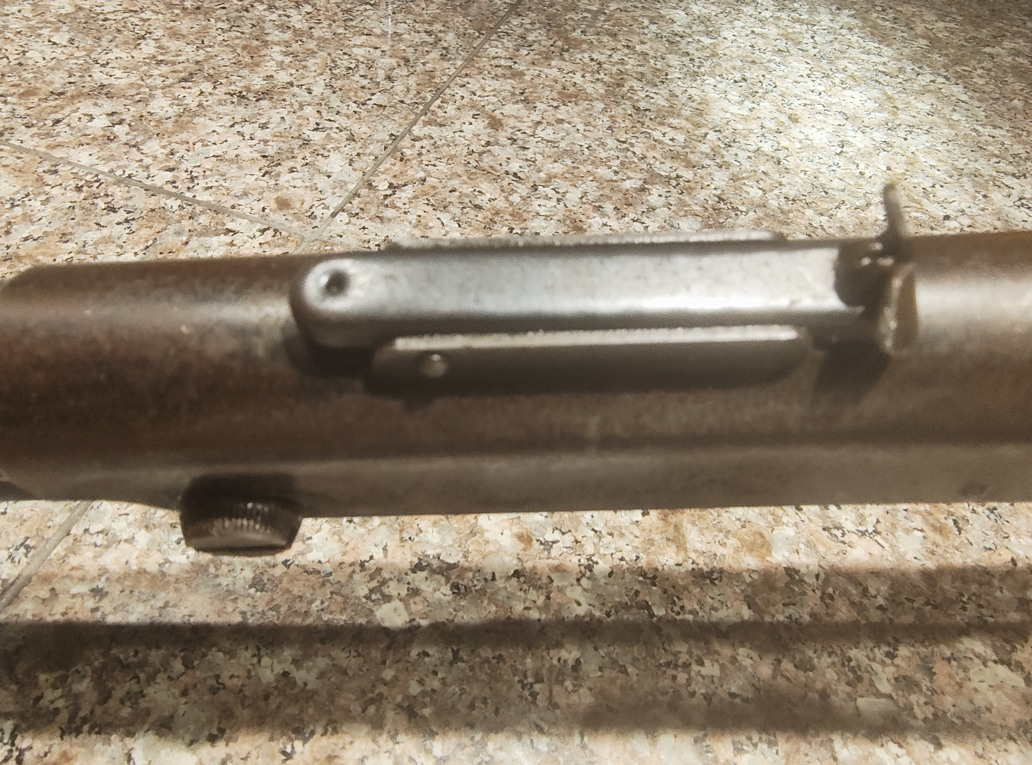 Rear Sight .jpg