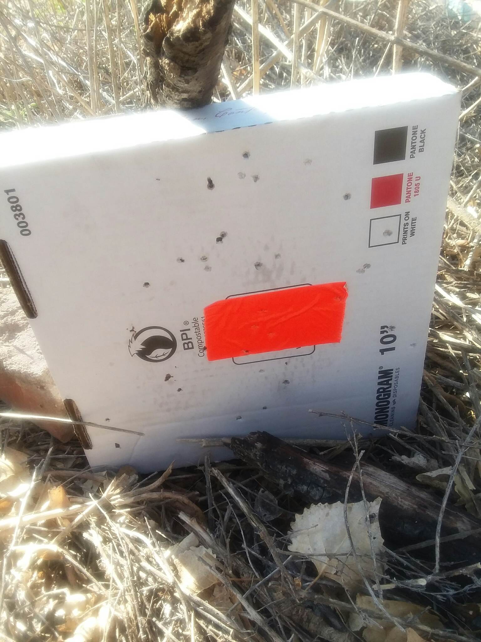received_767715151805150.jpeg