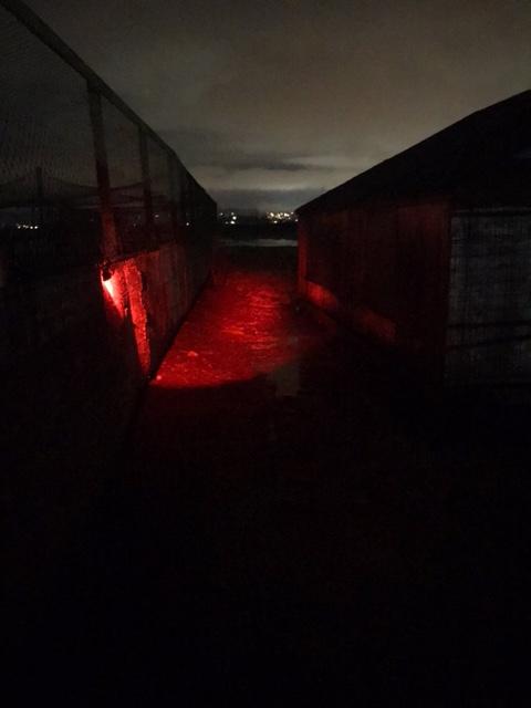 red lights set up.1606202812.jpeg