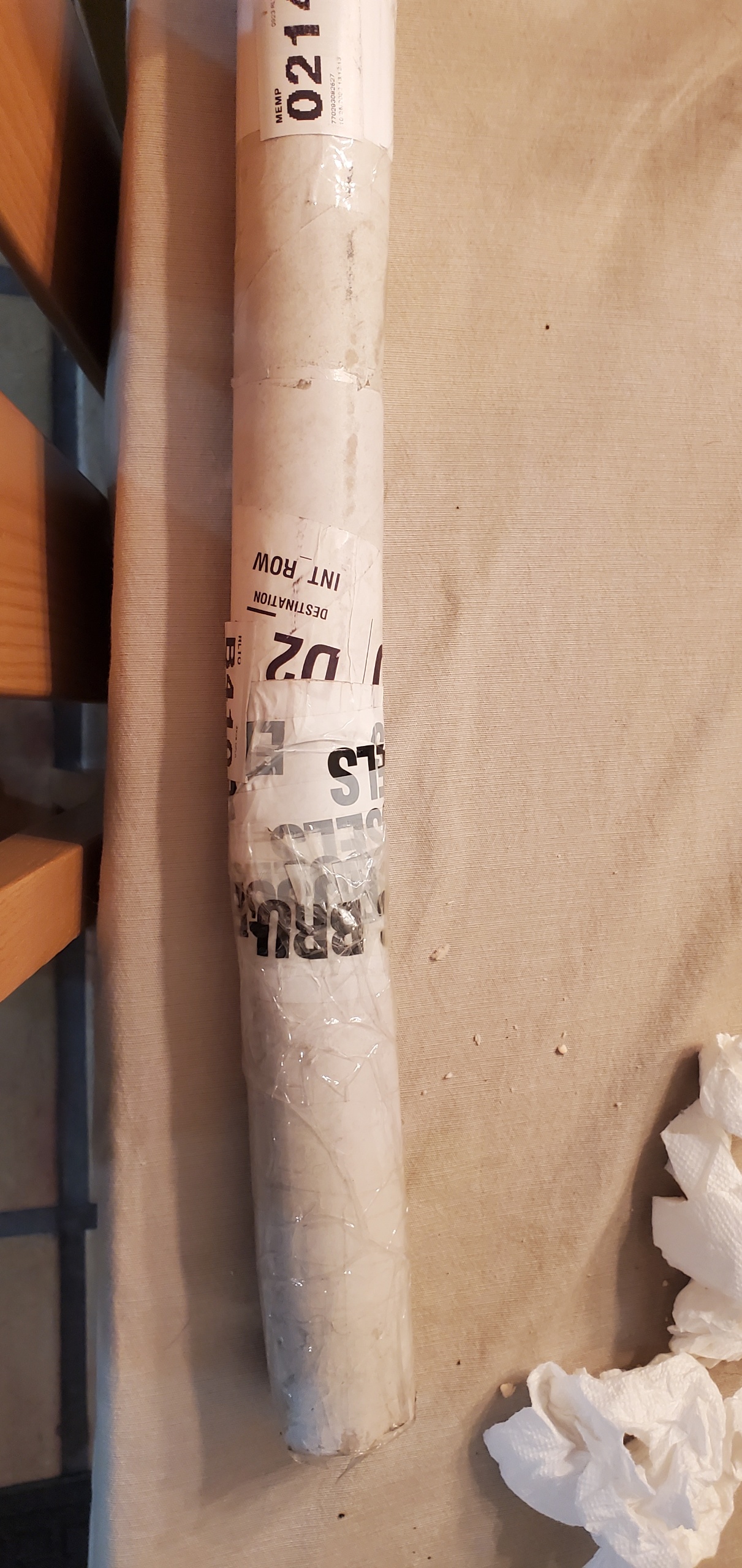 Resized_20221028_181648.jpeg
