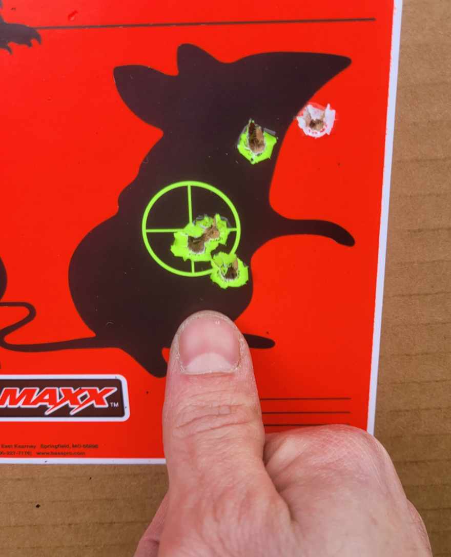 Resized_20221211_125356.jpeg
