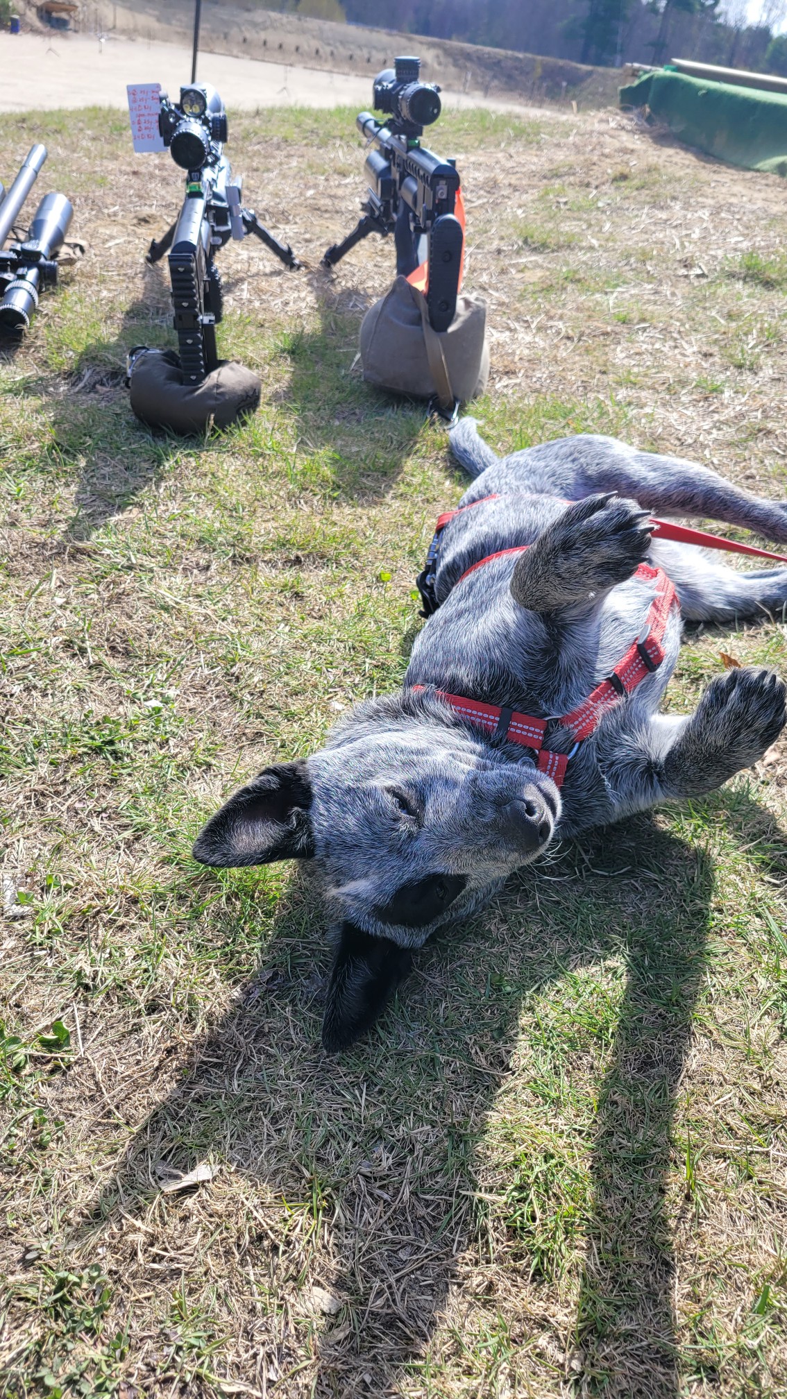 Resized_20230421_100516.jpeg