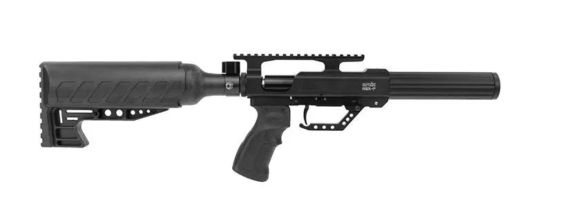 REX EVONIK PISTOL.JPG