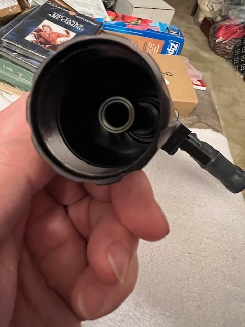 rexp4.jpg
