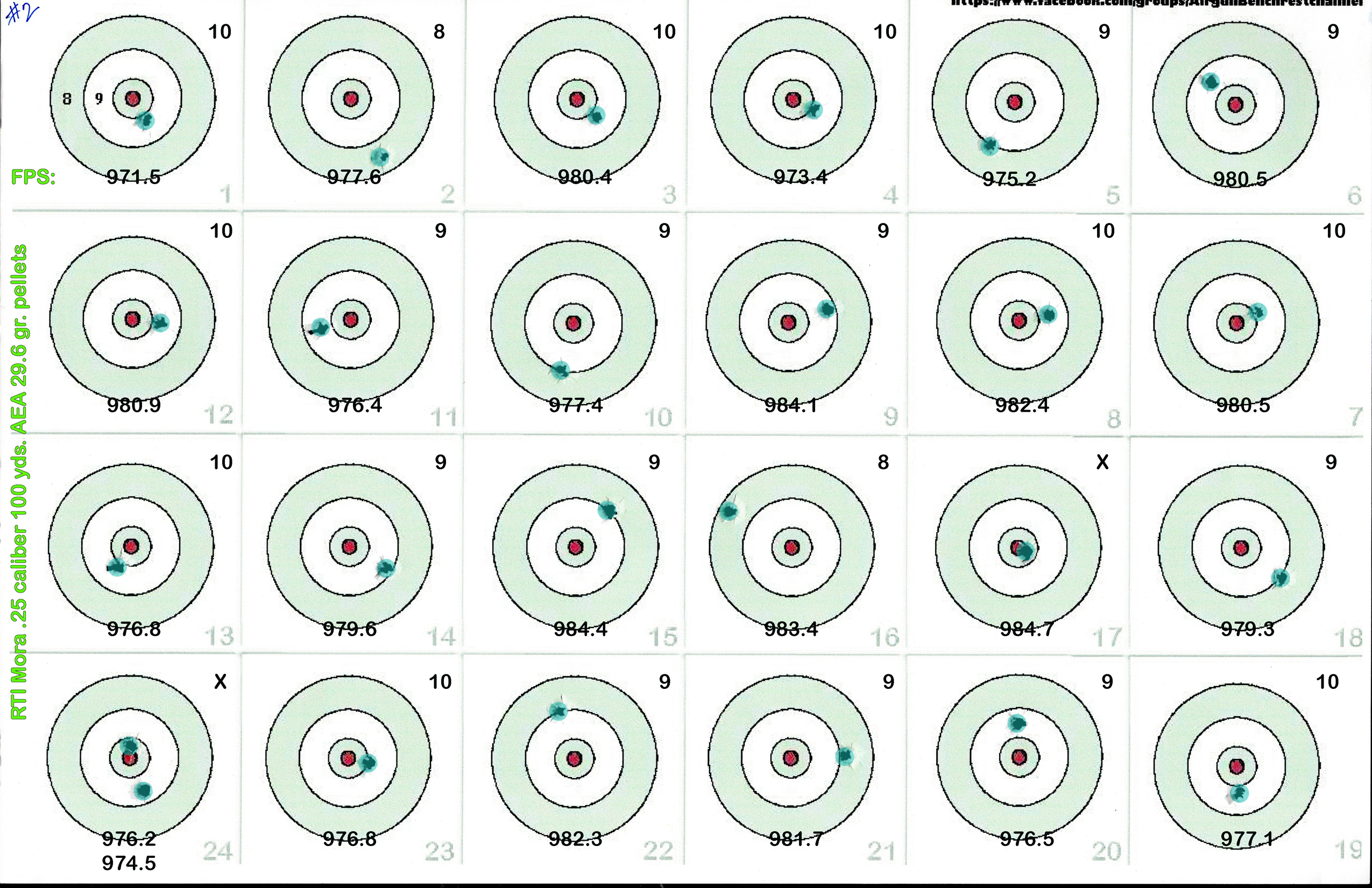 RTI Mora 25 Cal #2 100yds AEA 29gr pellets20250409.jpg