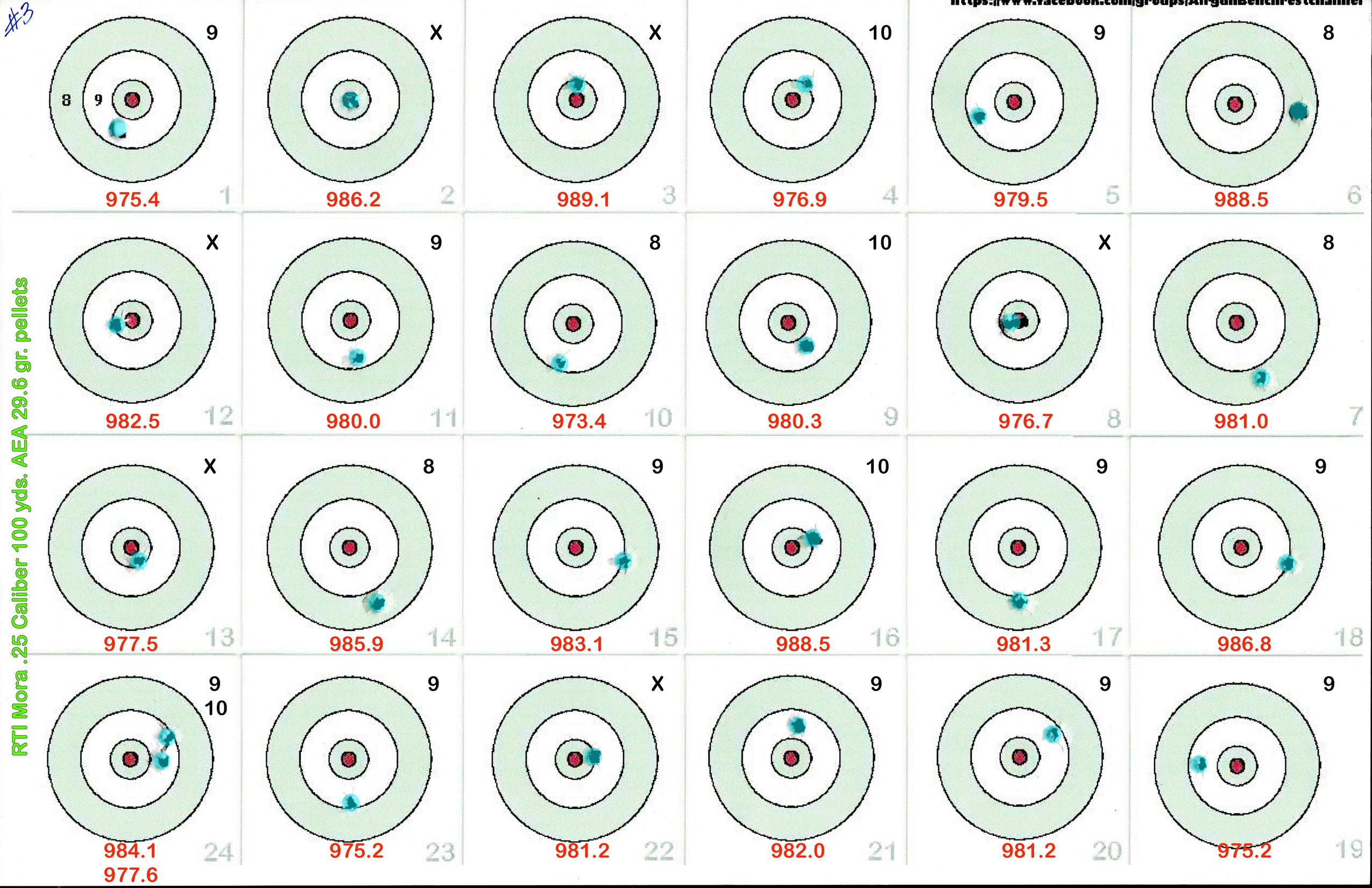 RTI Mora 25 Cal #3 100yds AEA 29gr pellets20250409.jpg