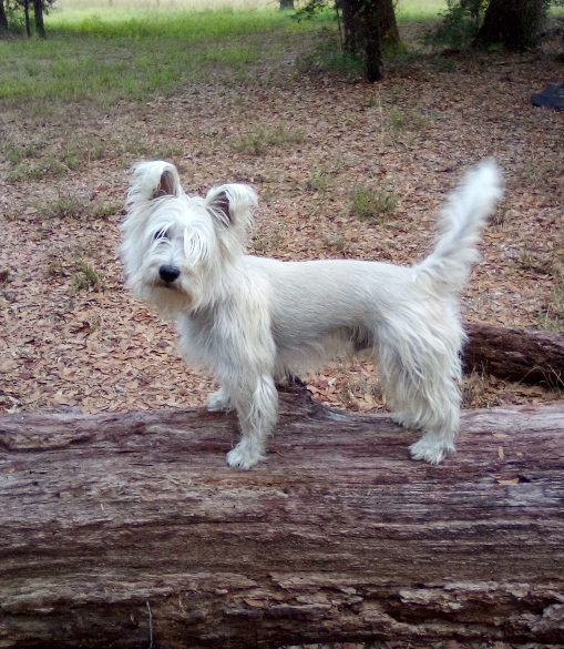 ruffnowoct2822.jpg