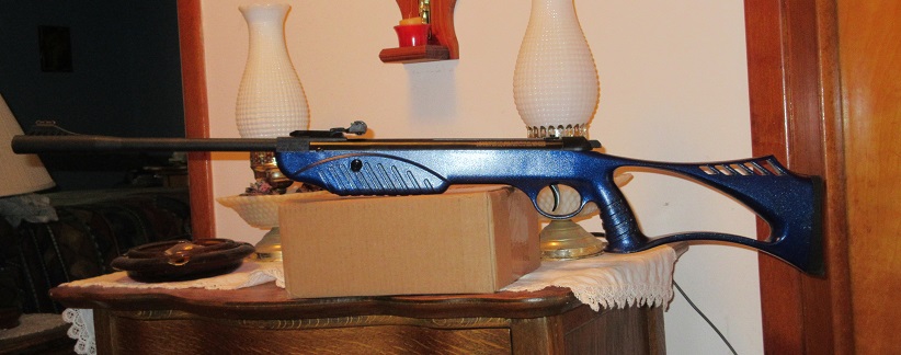 ruger explorer.1604103742.jpg