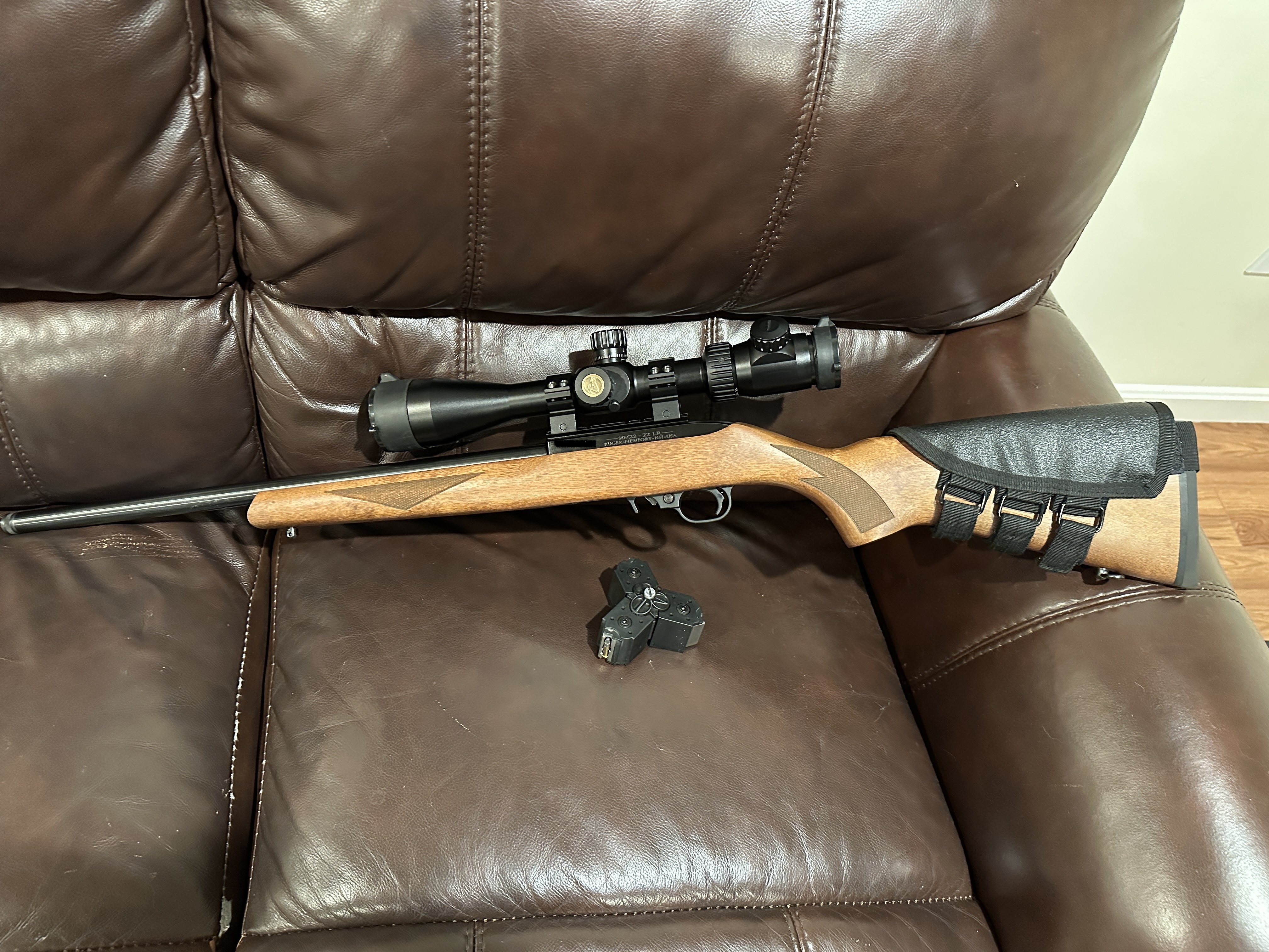 ruger10221.JPG