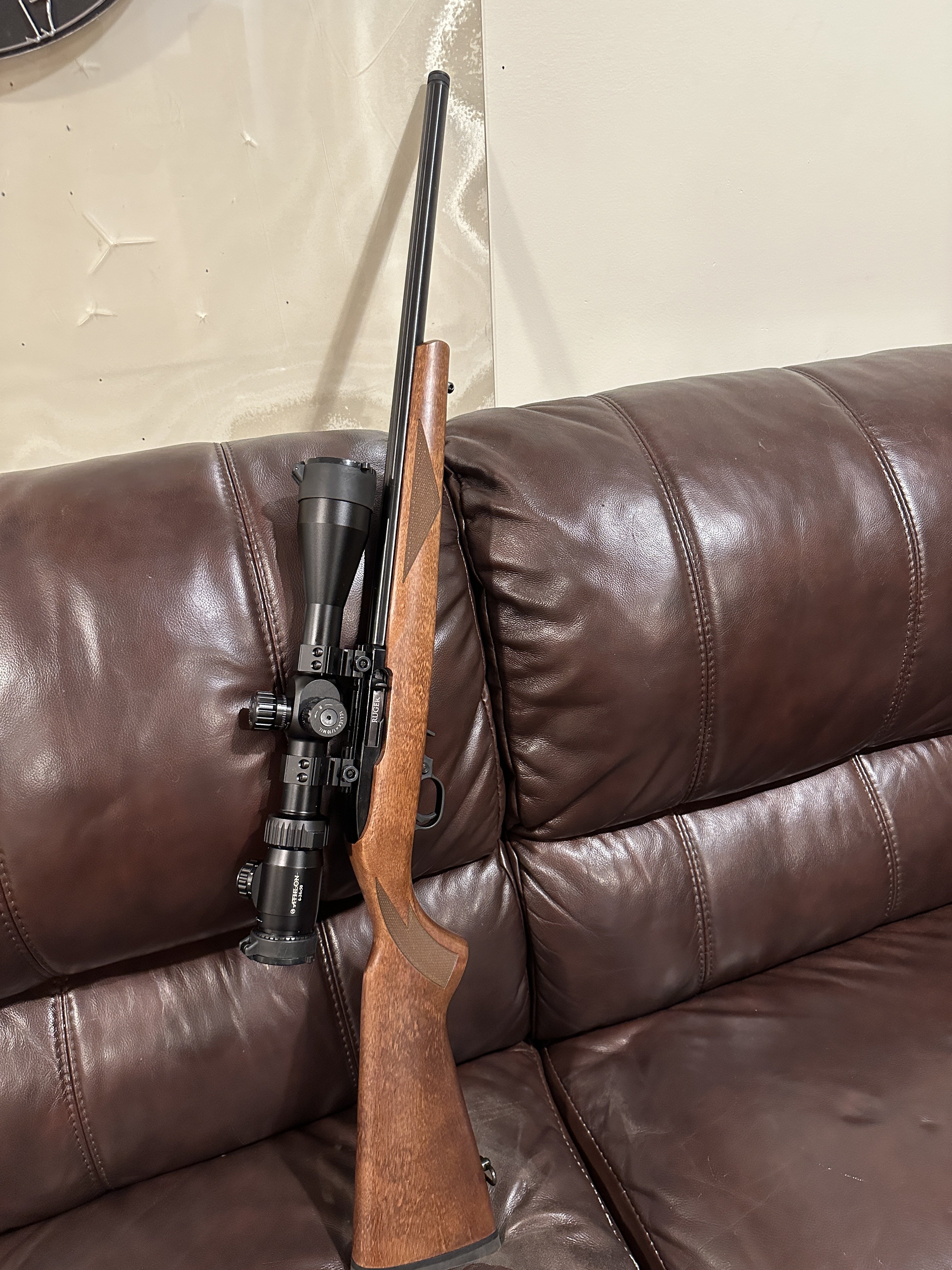 ruger1022t1.JPG
